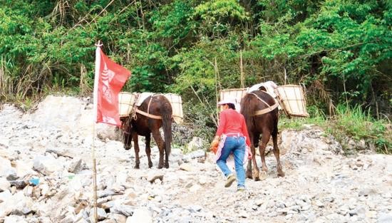 山东骡子运输队
